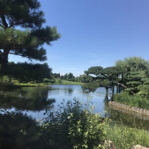 Lakeside Calmness