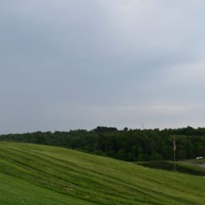 Rolling Hills